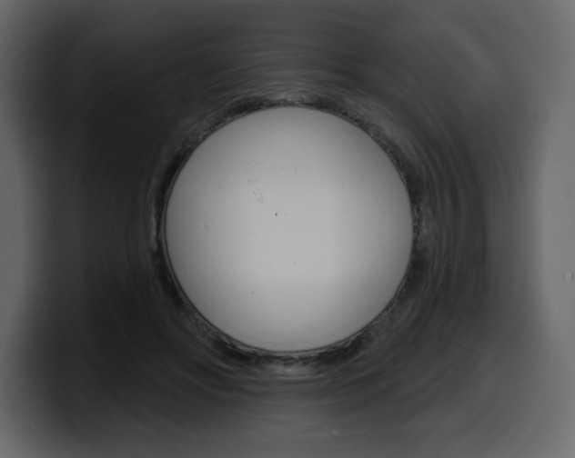 X0000099580502200805160749