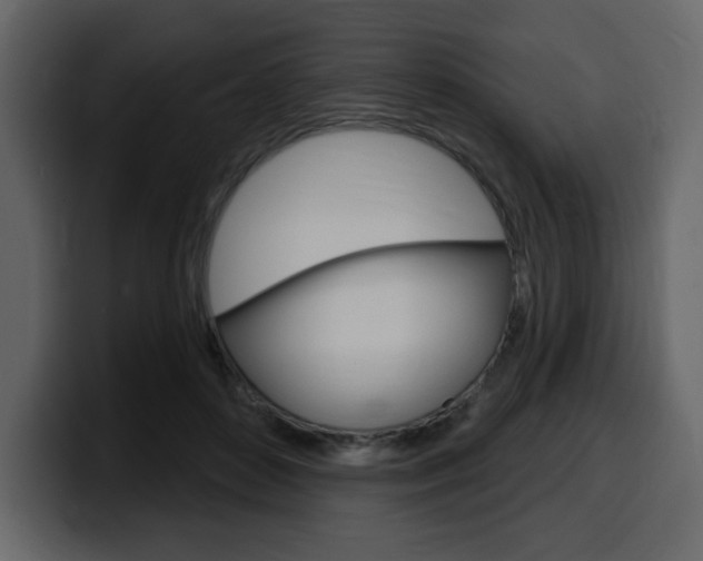 X0000099580504200805160749
