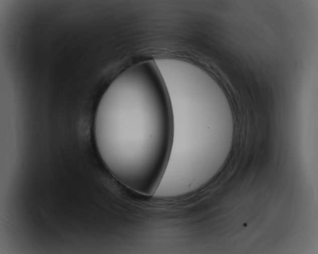 X0000099580505200805160749