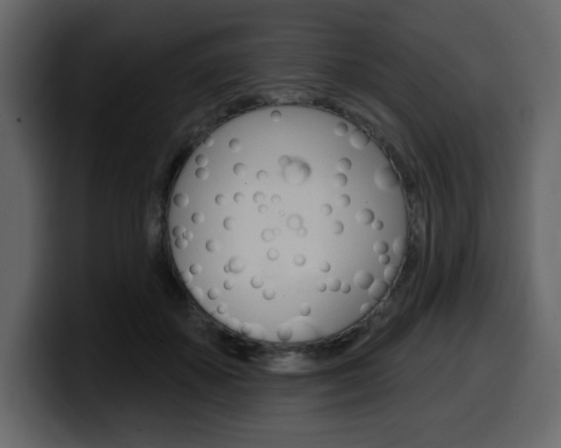 X0000099580507200805160749