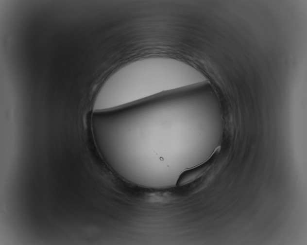 X0000099580508200805160749