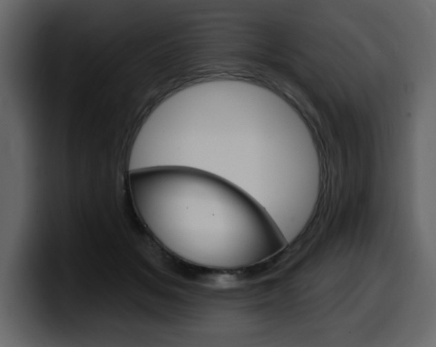 X0000099580509200805160749