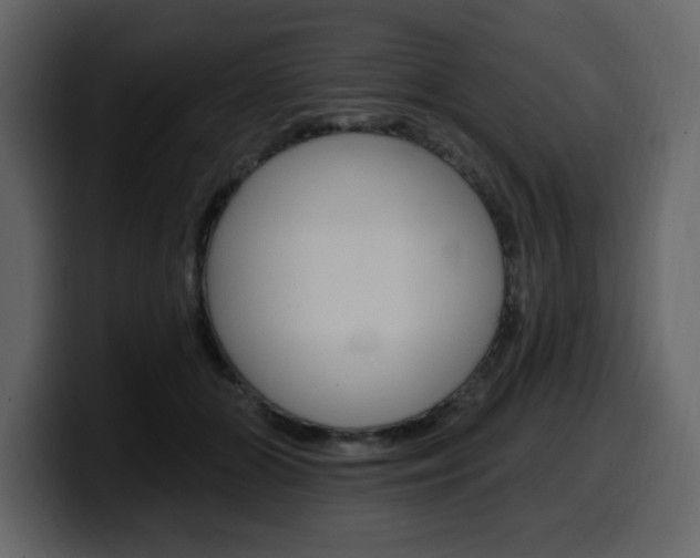 X0000099580510200805160749