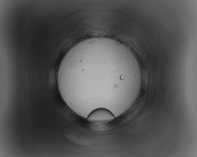 X0000099580511200805160748