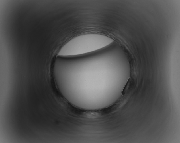 X0000099580512200805160748