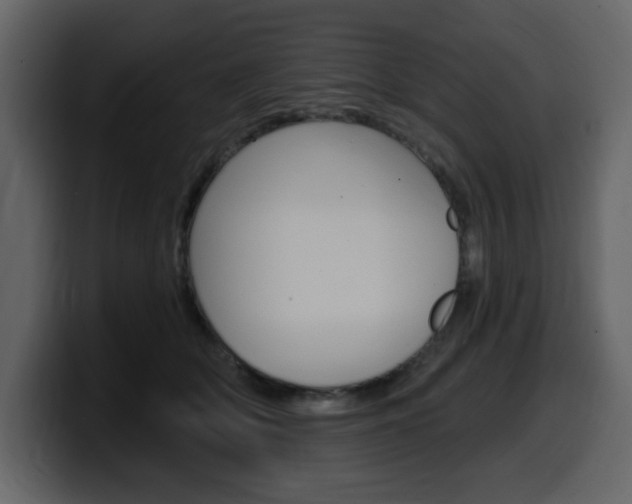 X0000099580514200805160748