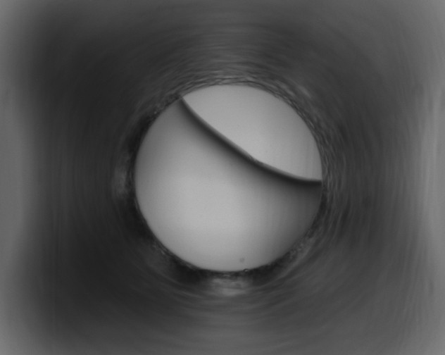 X0000099580515200805160748