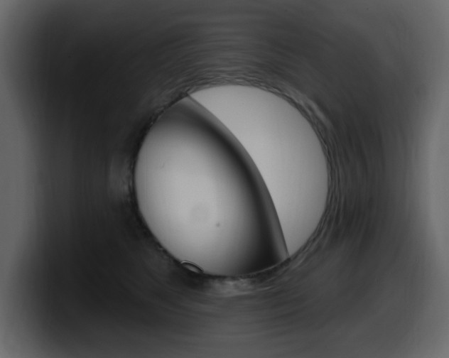 X0000099580517200805160748