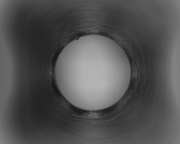 X0000099580518200805160748