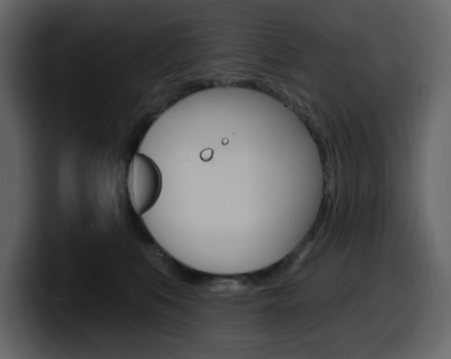 X0000099580519200805160748
