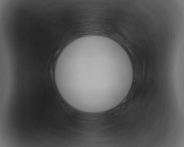 X0000099580520200805160748