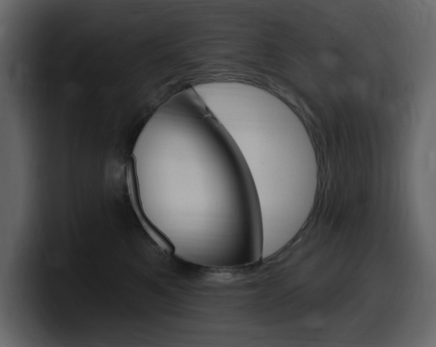 X0000099580521200805160748