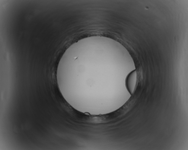 X0000099580522200805160748