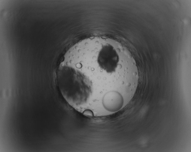 X0000099580523200805160748