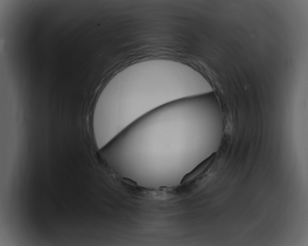 X0000099580524200805160748
