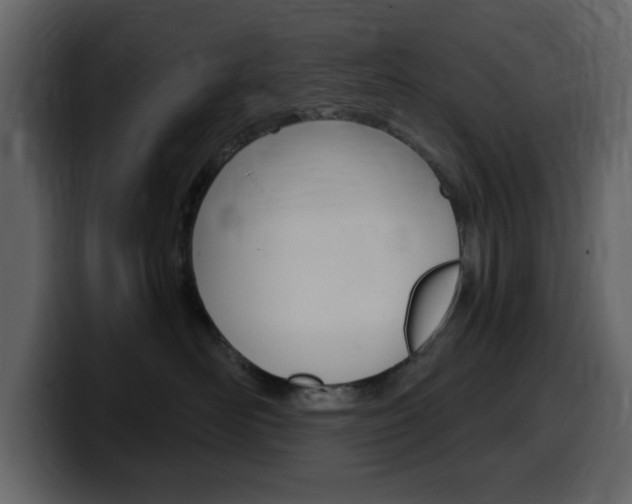 X0000099580526200805160748