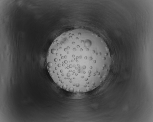 X0000099580527200805160748