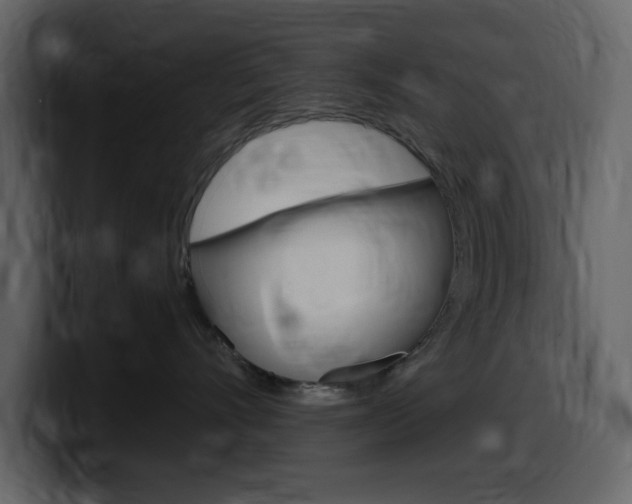 X0000099580528200805160748