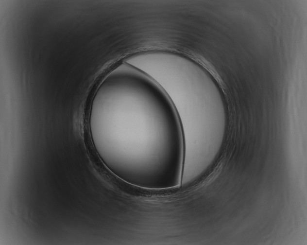 X0000099580530200805160748