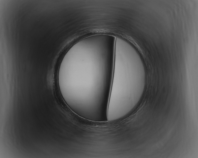 X0000099580531200805160748