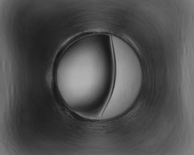 X0000099580532200805160748