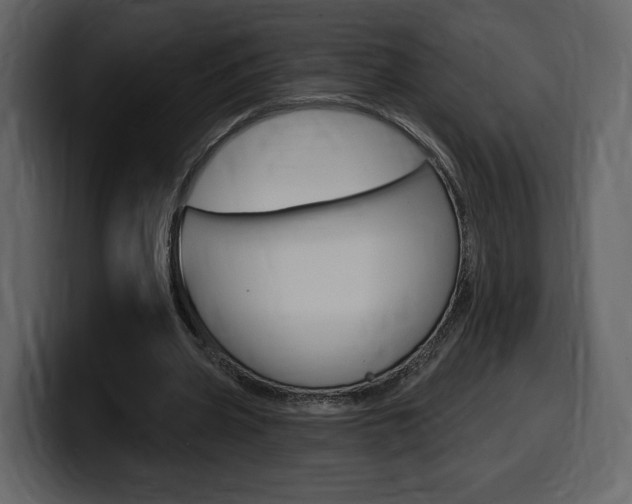 X0000099580533200805160748