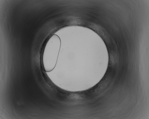 X0000099580534200805160748