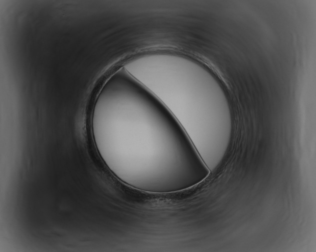 X0000099580535200805160748