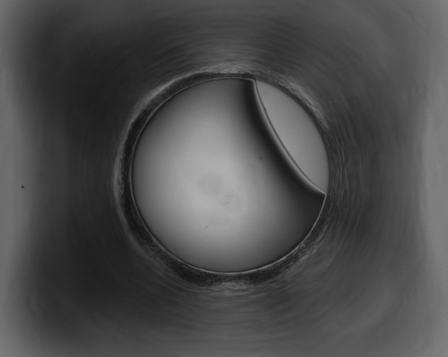 X0000099580536200805160748