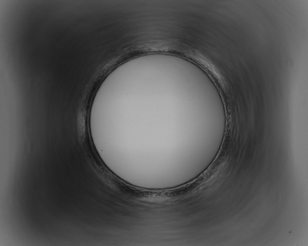 X0000099580537200805160748