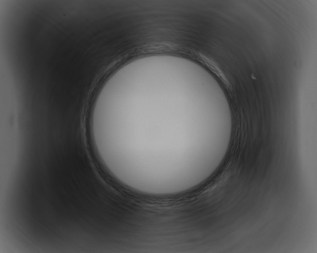 X0000099580538200805160748