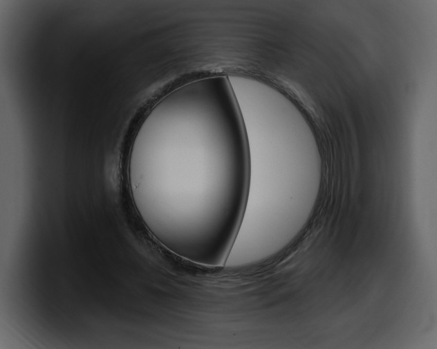 X0000099580540200805160748