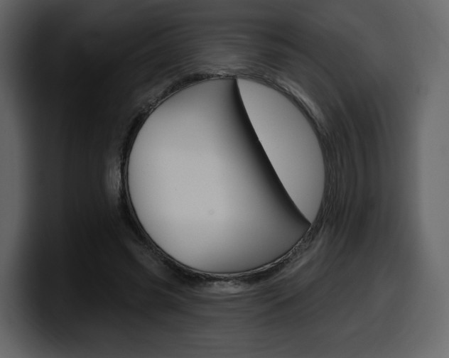 X0000099580541200805160748