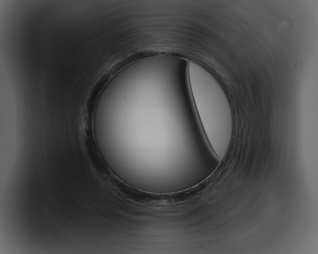 X0000099580544200805160748