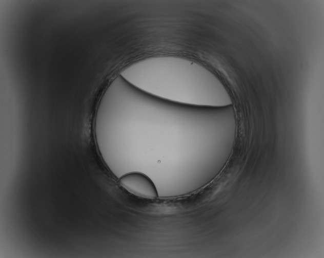 X0000099580545200805160748