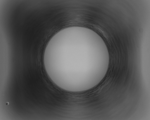 X0000099580546200805160748