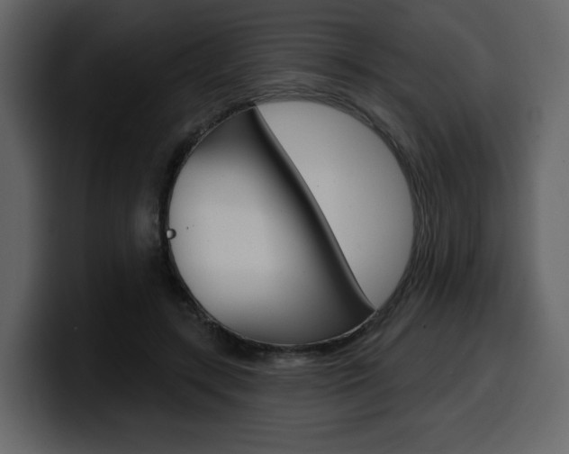 X0000099580547200805160748
