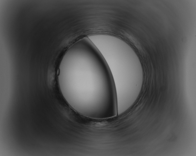 X0000099580548200805160748