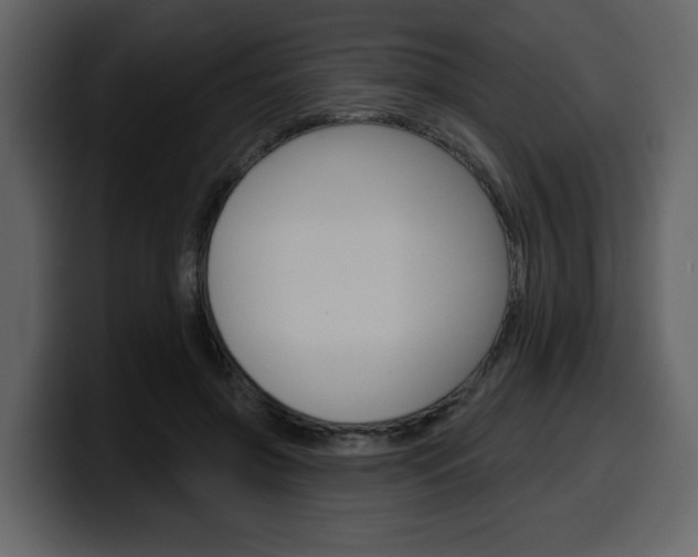 X0000099580549200805160748