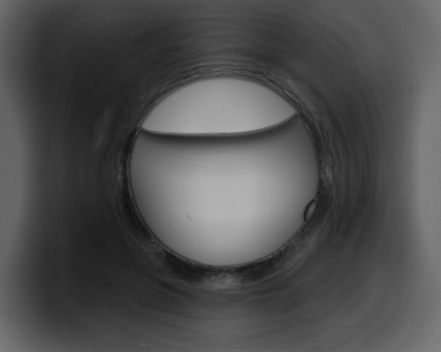 X0000099580551200805160748