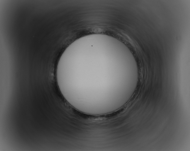 X0000099580553200805160748