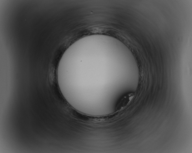 X0000099580554200805160748
