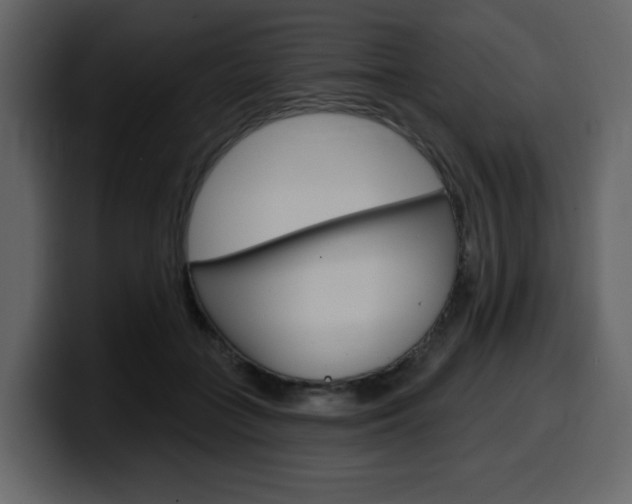 X0000099580555200805160748