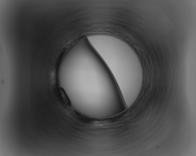X0000099580556200805160748
