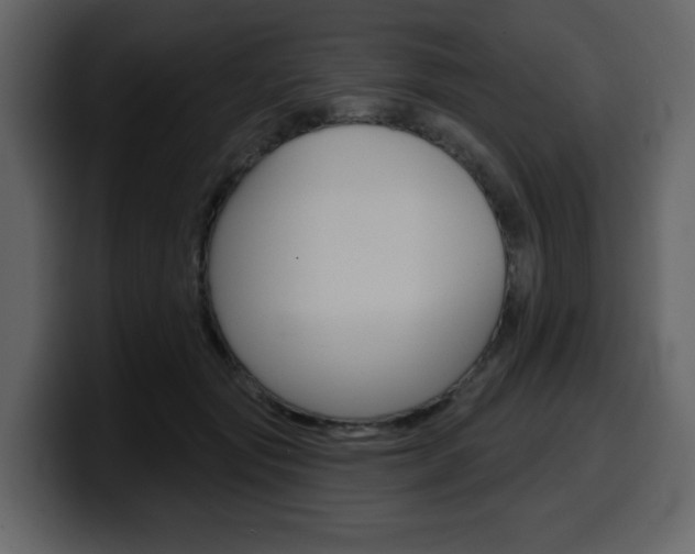X0000099580557200805160748