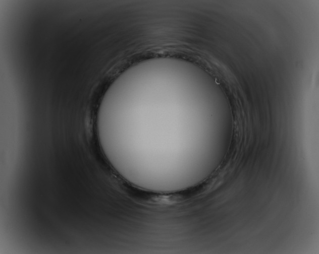 X0000099580558200805160748