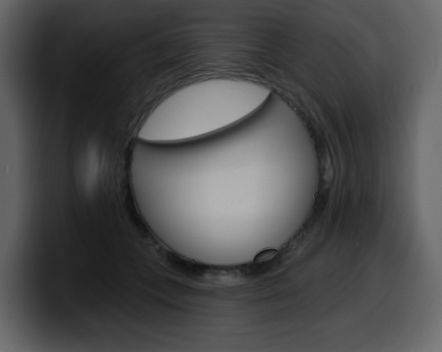 X0000099580559200805160748