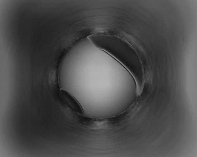 X0000099580560200805160748