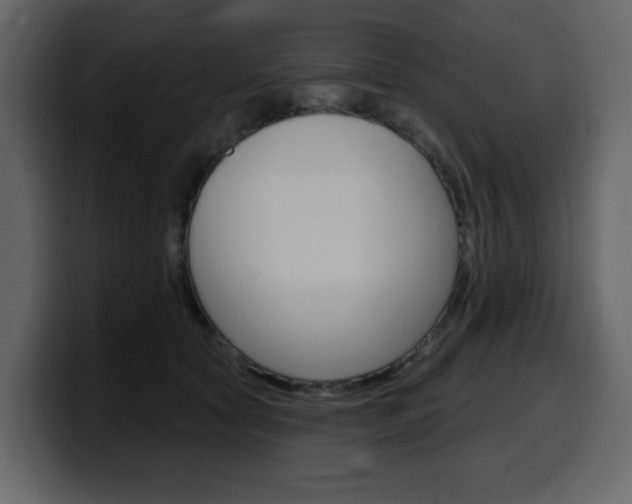 X0000099580561200805160748