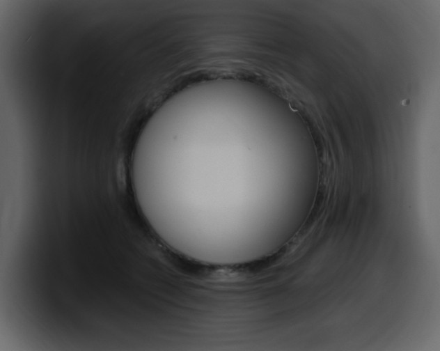 X0000099580562200805160748